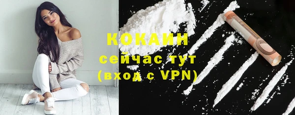 сатива Богданович