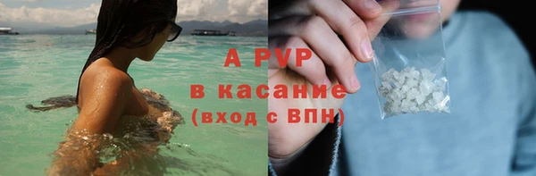 сатива Богданович