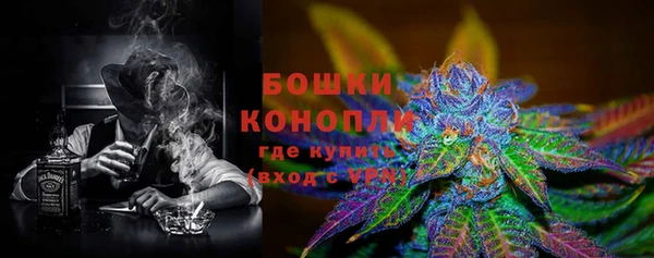 мдпв Богородицк